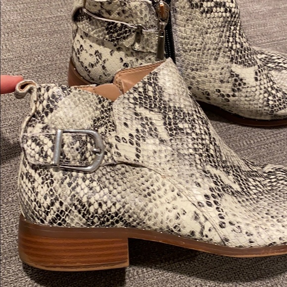 Steven by Steve Madden snake shoes 8 - worn twice - Picture 2 of 8